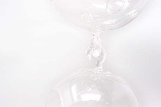 Hanging Globe Terrariums with Double-Hooks