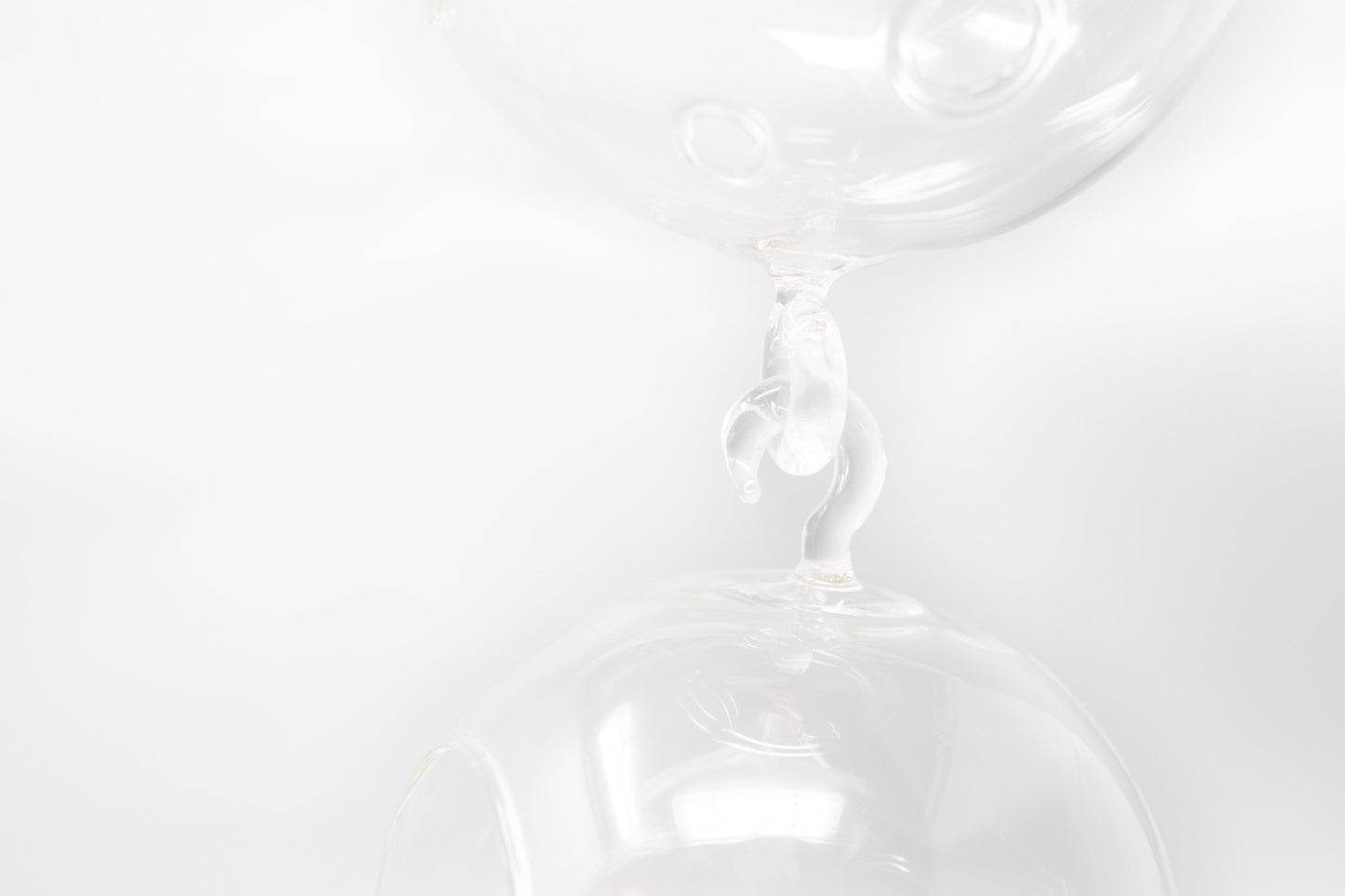 Vertical Garden Display featuring 6 Terrariums with Double Hooks and Air Plants