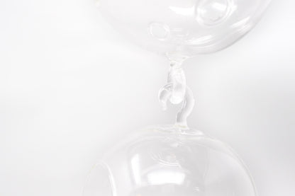 Vertical Garden Display featuring 6 Terrariums with Double Hooks and Air Plants