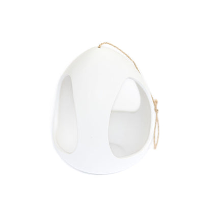 Large White Ceramic Hanging Pod with Two Assorted Tillandsia Plants