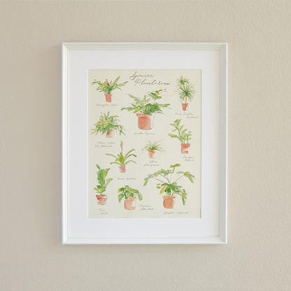 Plant Species Poster