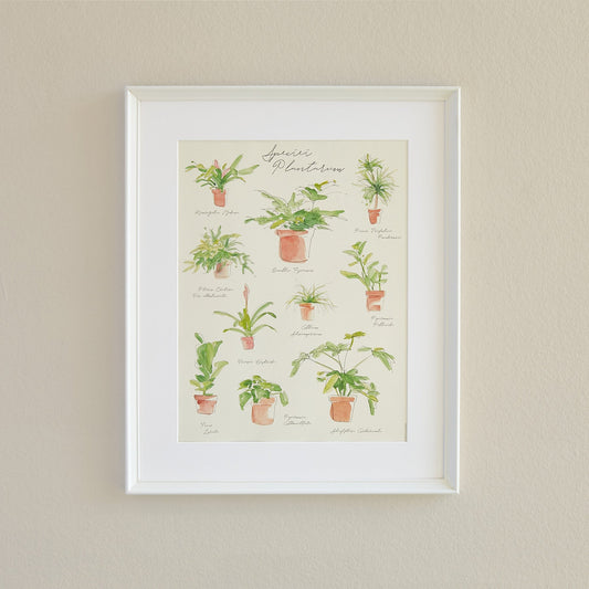 Plant Species Poster