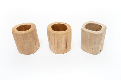 Set of 3 Large Driftwood Containers with Custom Tillandsia Air Plants