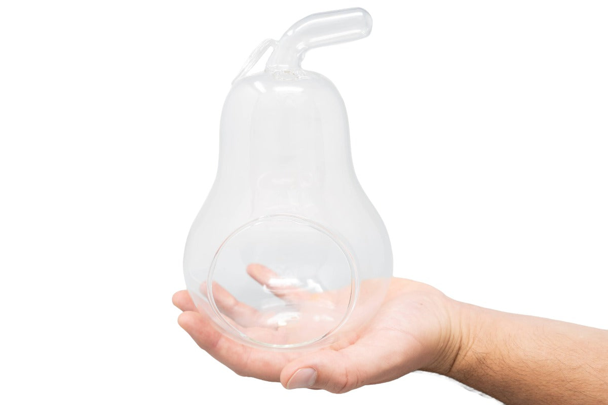 Pear Terrarium with Pebble Kit and Tillandsia Air Plants