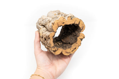 Natural Cork Bark Planters
