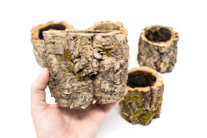 Natural Cork Bark Planters