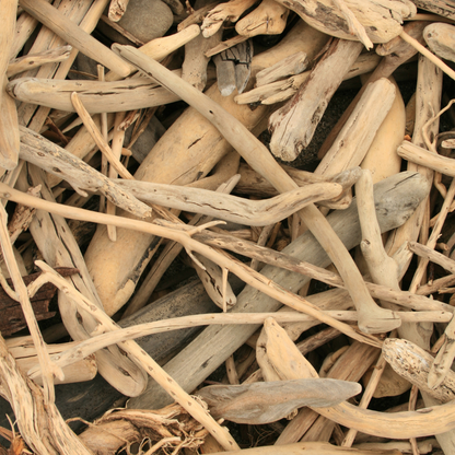 Amber Driftwood Soy Candle