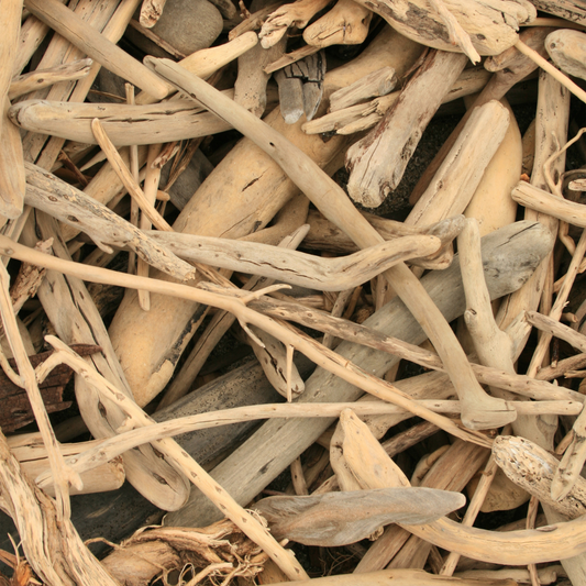 Amber Driftwood Soy Candle