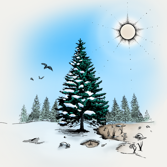 Iced Balsam Soy Candle