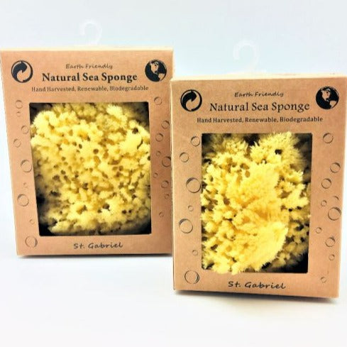 Caribbean Silk Sea Sponge - Naturali Home